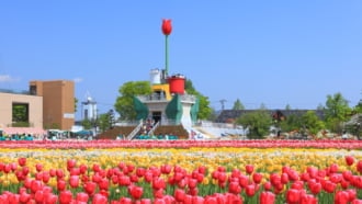 砺波チューリップ公園