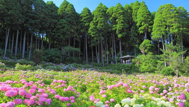 千葉県茂原市の地元で人気のお菓子をお土産に買って帰ろう！