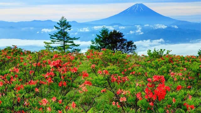 歴史・自然に囲まれた韮崎市の5つの観光地