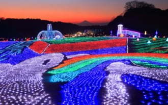 東京ドイツ村イルミネーション