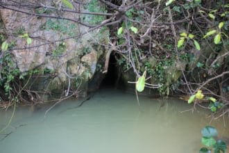 塩川（スガー）