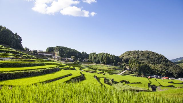 緑あふれる磁器の里 波佐見町のみどころ18選 Skyticket 観光ガイド