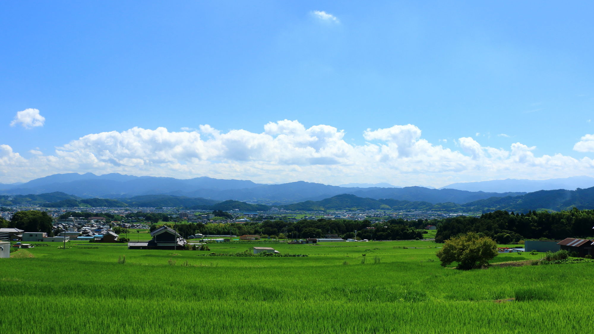 葛城山と金剛山の麓 神話と薬の歴史にあふれる奈良県御所市の観光名所5選 Skyticket 観光ガイド