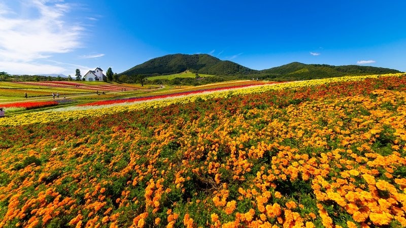 恋人たちの旅をロマンチックに彩る宮城県のおすすめデートスポット4選！