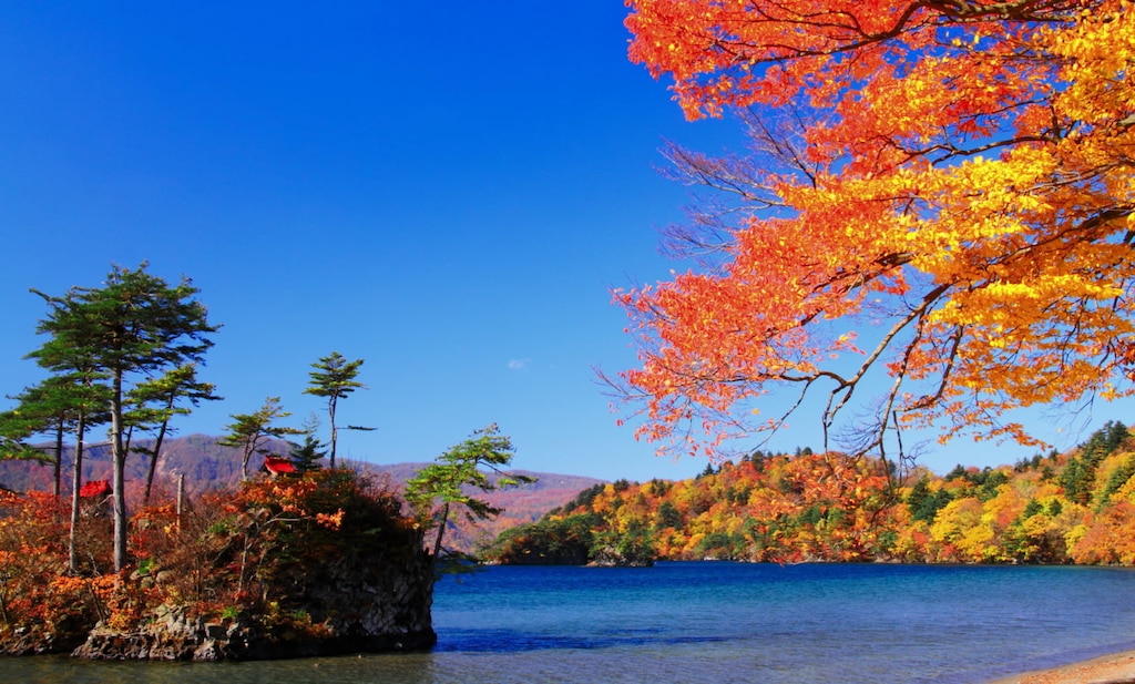 十和田湖周辺の観光・グルメ・ホテルおすすめ29選｜大自然満喫の旅