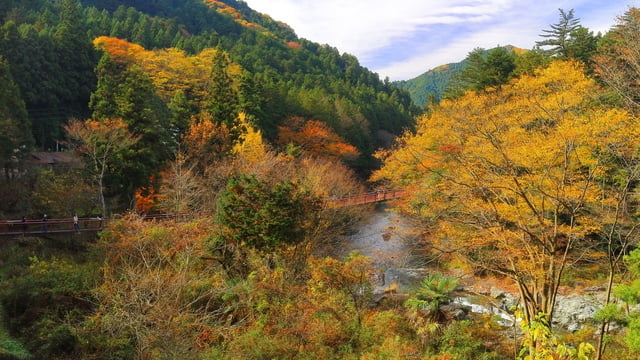 あきる野の自然が生み出した心温まるおすすめのお土産4選 Skyticket 観光ガイド