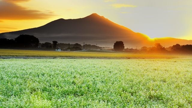 茨城県のおすすめドライブコース4選 魅力がない いえいえありますとも Skyticket 観光ガイド