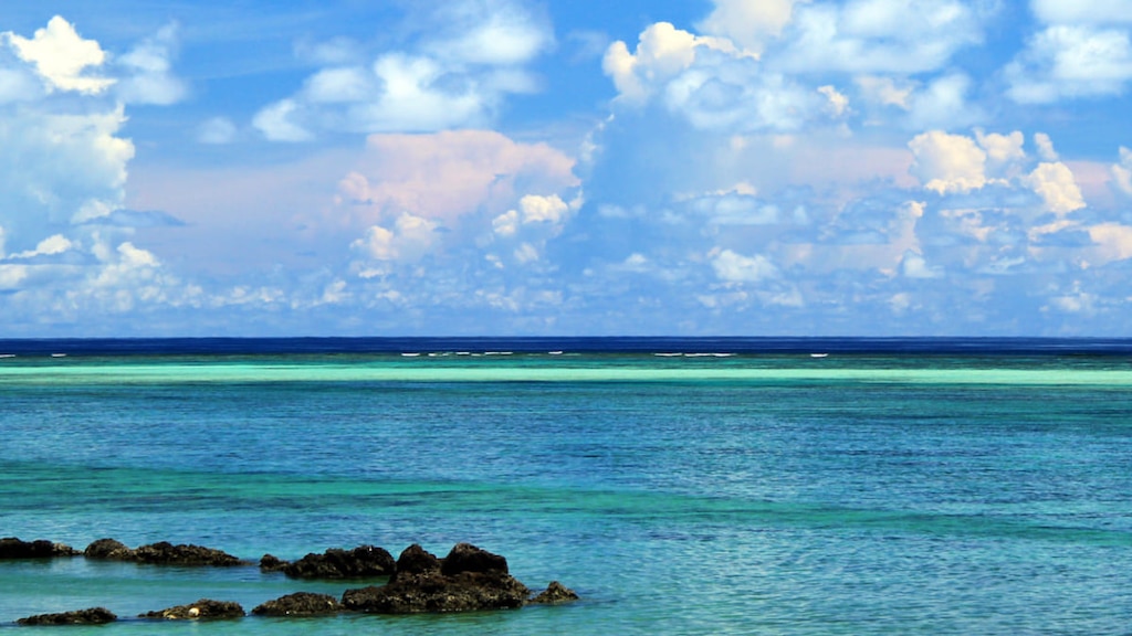 石垣島「白保海岸」世界最大級のアオサンゴ群落でシュノーケリング！
