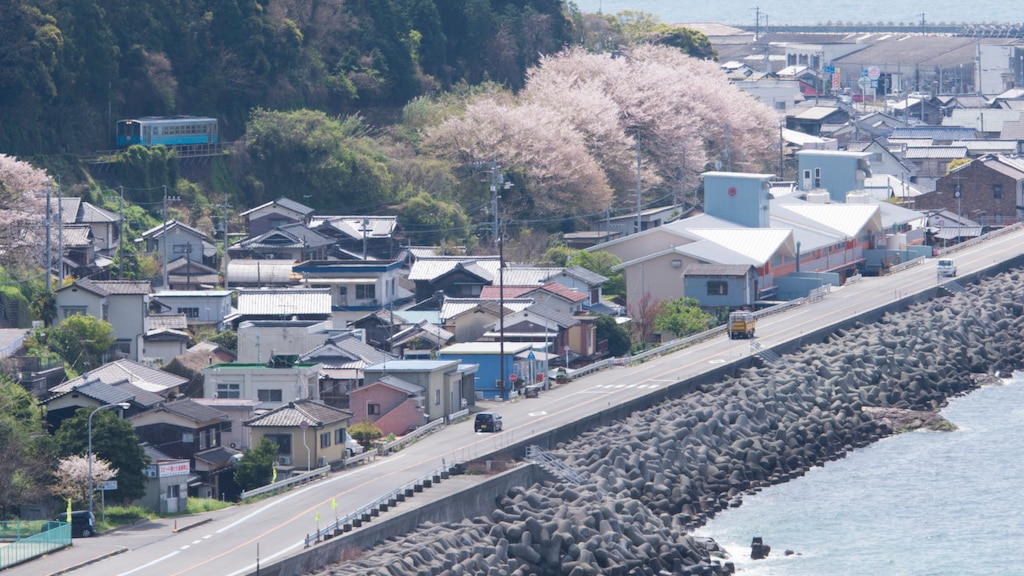 桜の季節を楽しむ！春に行きたい愛媛の観光スポット7選