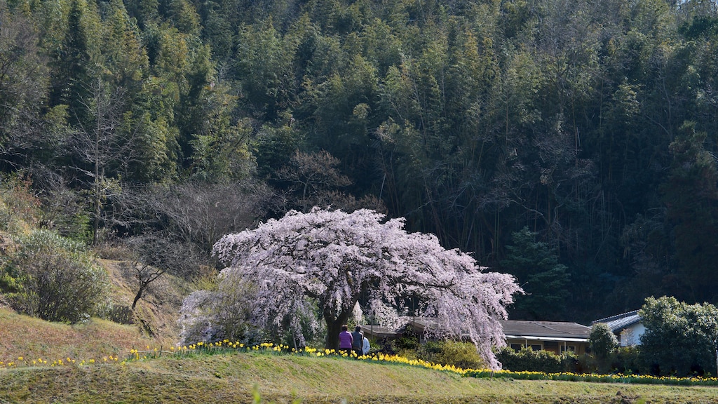 家族で楽しめる施設がたくさん！香川県綾川町の観光スポット5選