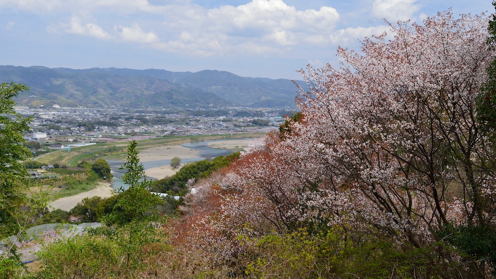 作家・有吉佐和子の故郷、紀の川へ。独特の空気間に触れる紀の川観光7選