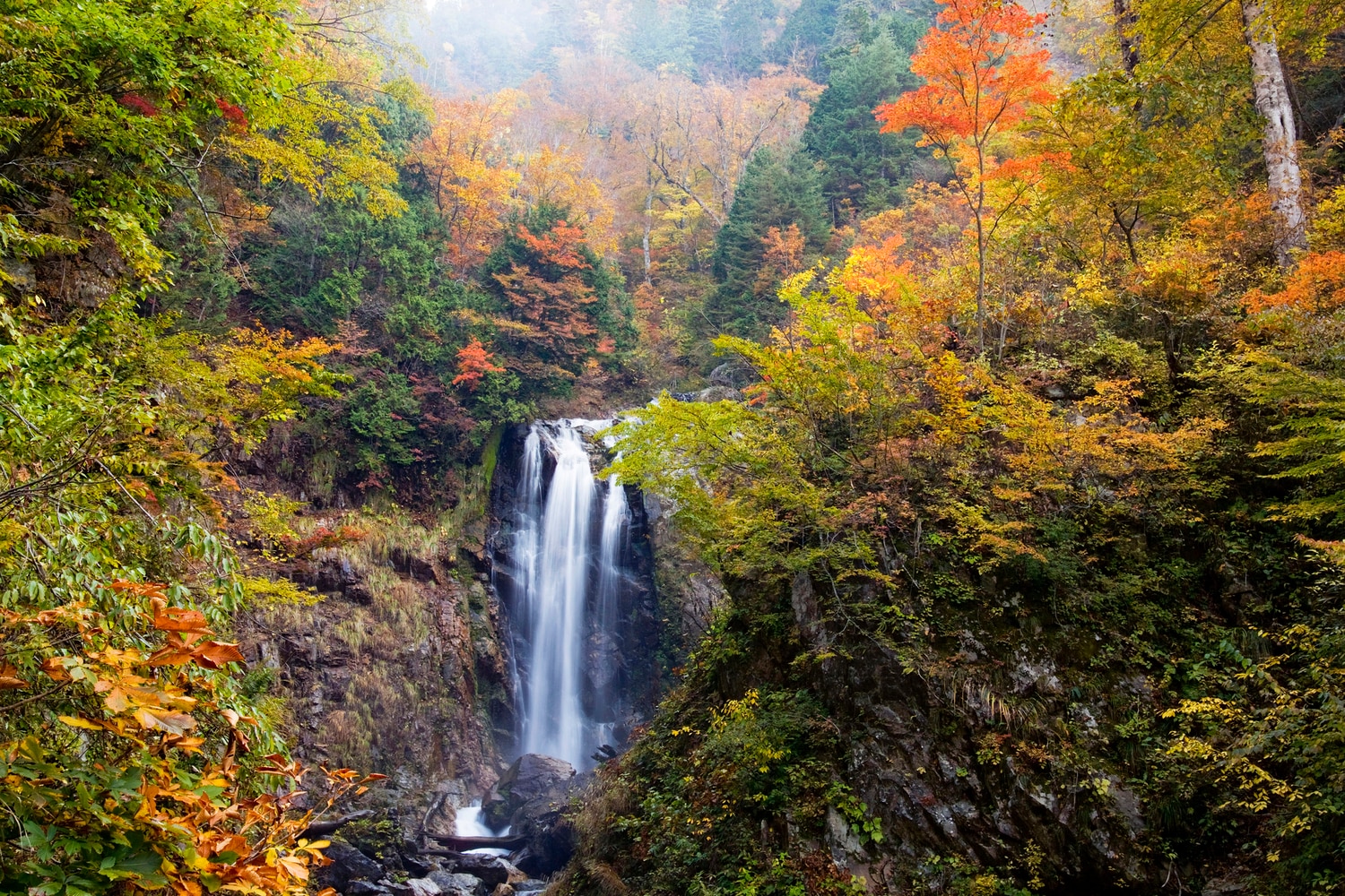 F10号です。碓氷峠で発見した、紅葉。特注額です。 F10号です。碓氷峠で発見した、紅葉。特注額です。
