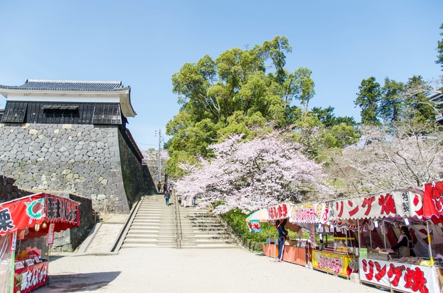 暖かい陽気に誘われて島根へ旅に出ませんか？島根県の春の観光スポット7選