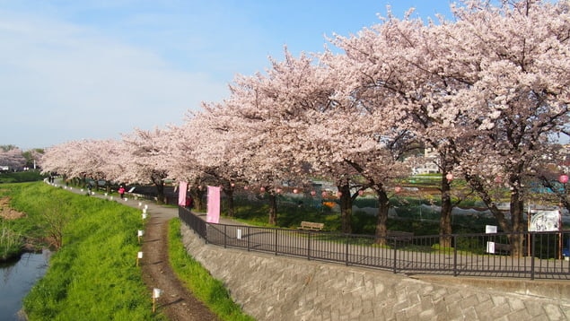 埼玉県朝霞市の観光スポット4選！尾崎豊を生んだ街の風景を訪ねよう