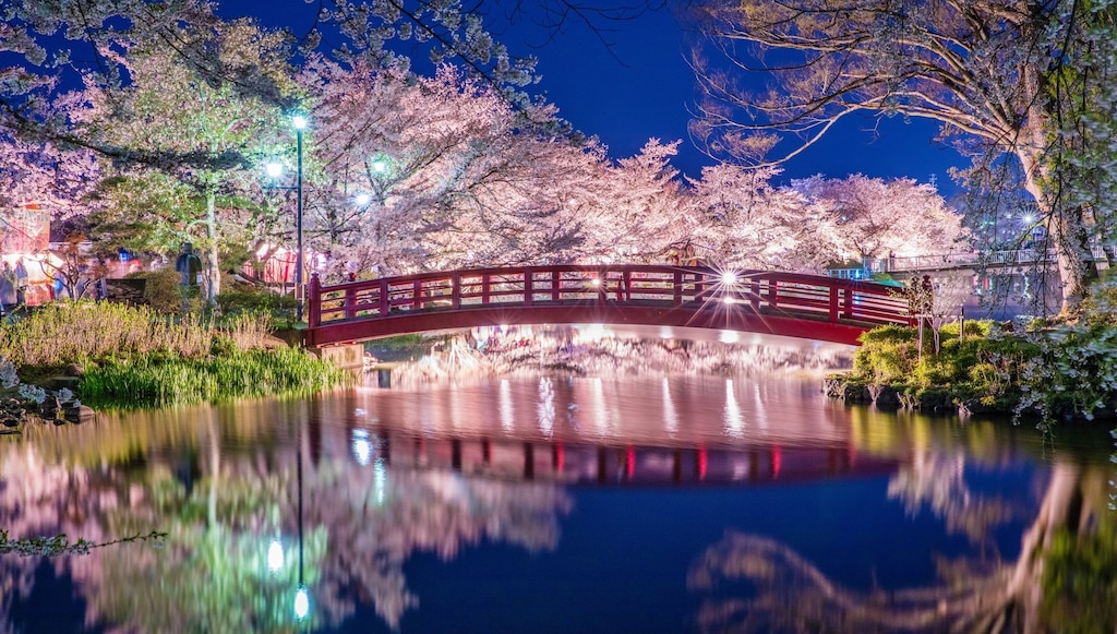 有名観光地だけじゃない！神秘さ溢れる長野の桜名所おすすめ5選　