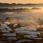 新潟県のご当地グルメ7選！（画像は新潟県十日町市の星峠の棚田）