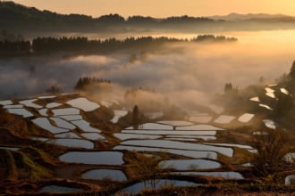 新潟県のご当地グルメ7選！（画像は新潟県十日町市の星峠の棚田）