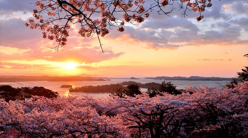宮城県松島町の観光スポット31選 人気の景勝地をご紹介します Skyticket 観光ガイド