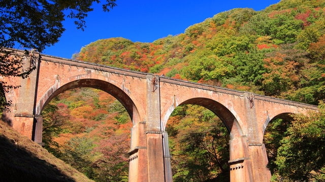 魅惑の遠足ポテトとは？群馬県安中市のおすすめのお土産を紹介！