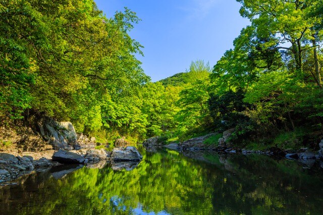 埼玉県嵐山町の観光スポット7選 埼玉でも都のかほりが楽しめるんです Skyticket 観光ガイド