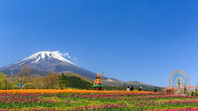 裾野市のおすすめ観光スポット13選　富士山の麓で大自然を満喫しよう！　