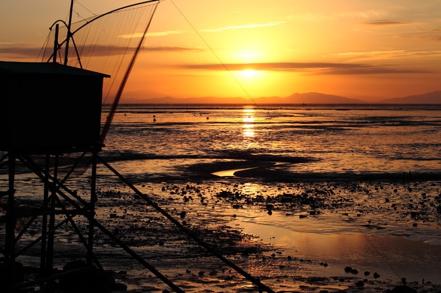 鹿島市（佐賀県）