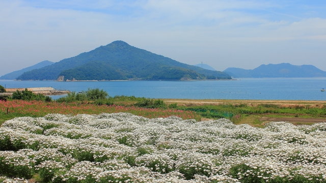 香川県三豊市のおすすめ観光スポット9選　季節の移ろい豊かな西讃の町