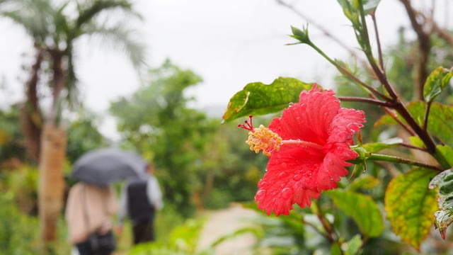 雨の日だって思いっきり楽しめる宮古島のおすすめ観光スポット9選