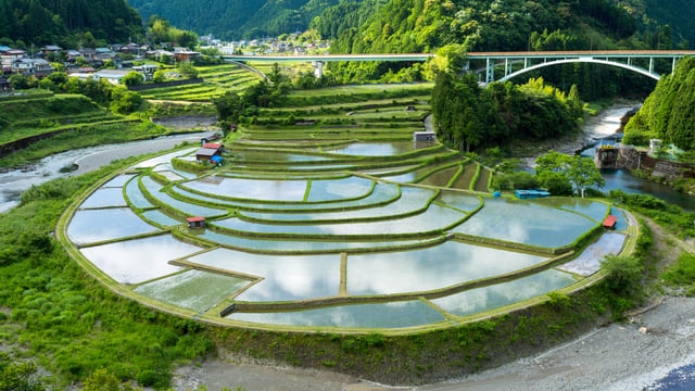 和歌山県有田川町のお祭り6選。花火大会から絵本マルシェまで楽しもう！