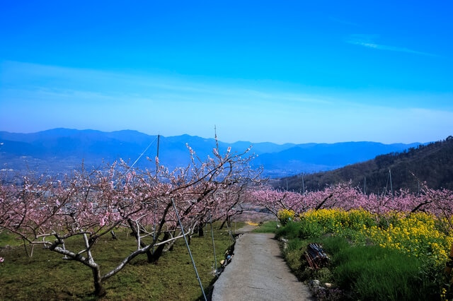 山梨県笛吹市の観光地の中でおすすめの5箇所を紹介します