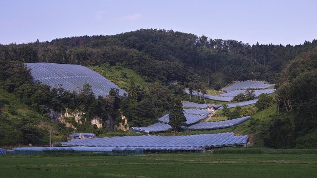 山形県自慢の美味しいワイン＆スイーツ！高畠町のおすすめ土産4選