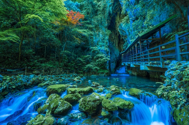 動物園、お城、温泉・・・雨でも楽しめる山口県の観光スポット6選