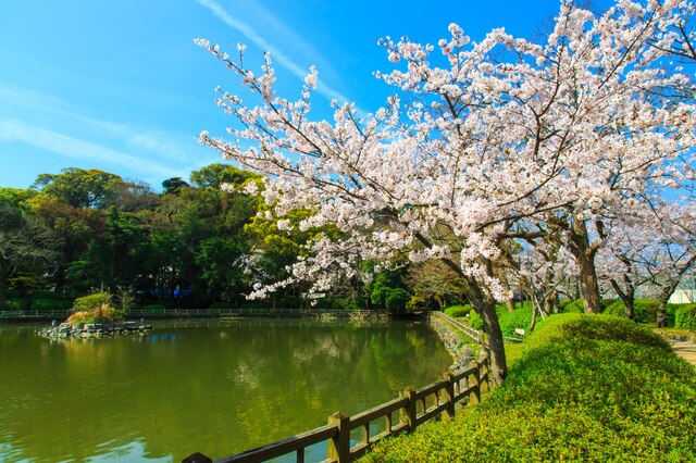 春麗らかな長崎県のおすすめ観光スポット5選。春の長崎は本当にいいところ