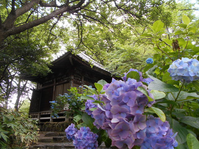 雨でも問題なく楽しめる！茨城県で押さえておきたい観光スポット10選