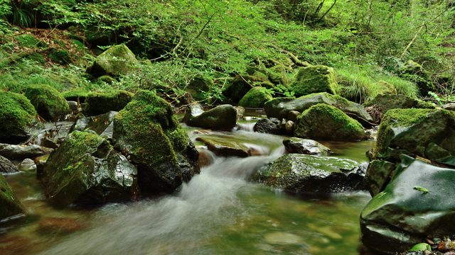 観光名所25選！自然あふれるあきる野市を満喫しちゃいましょう！