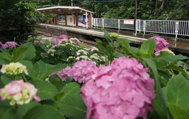 神奈川県箱根・小涌谷の観光スポット10選！貸切温泉からワイン風呂まで