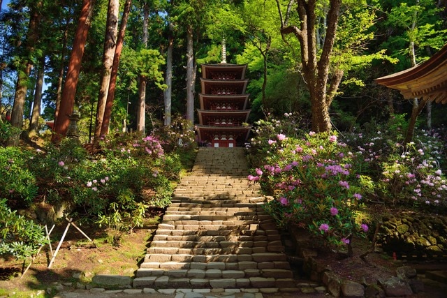 宇陀市 
