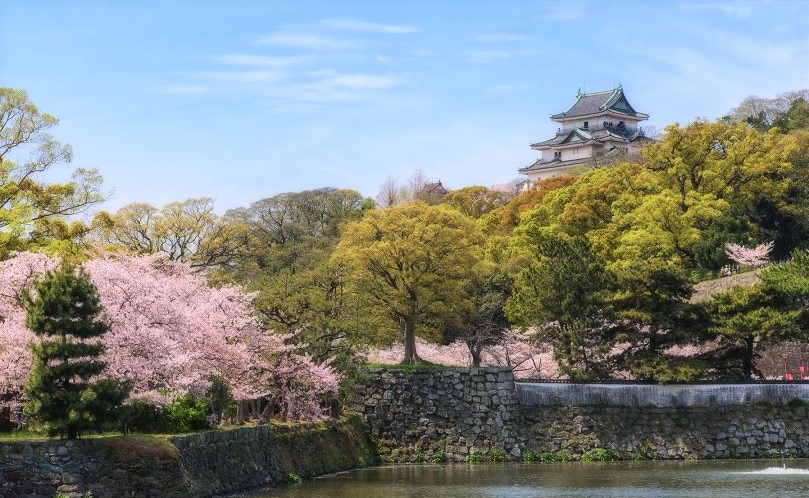 伝統的な和歌祭や港の花火大会も魅力！和歌山県和歌山市のお祭りを紹介！