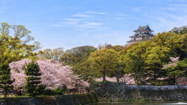 魅力溢れる和歌山の桜の名所、訪れてみたくなるオススメ5選！　