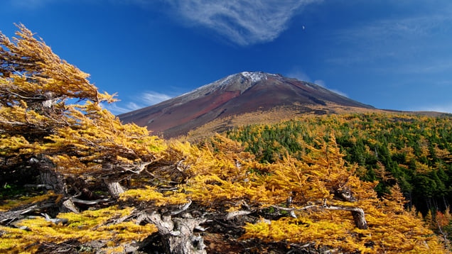 富士山と自然を満喫！山梨県鳴沢村のお勧め観光スポット5選