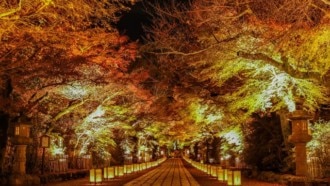 石山寺紅葉ライトアップ