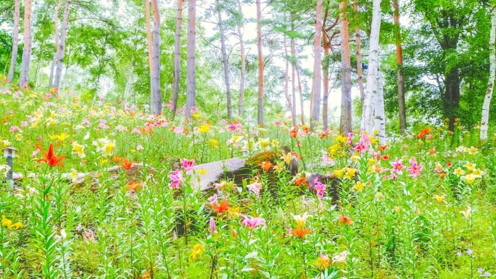 【 長野/諏訪郡】富士見高原リゾート花の里で花々に囲まれ大自然を満喫！