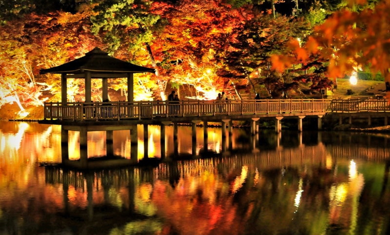 岡崎市の観光スポット15選！歴史を学び自然を感じて思いきり遊ぼう