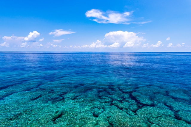 石垣島はサンゴのパラダイス サンゴ礁の楽しみ方 スポットまとめ Skyticket 観光ガイド
