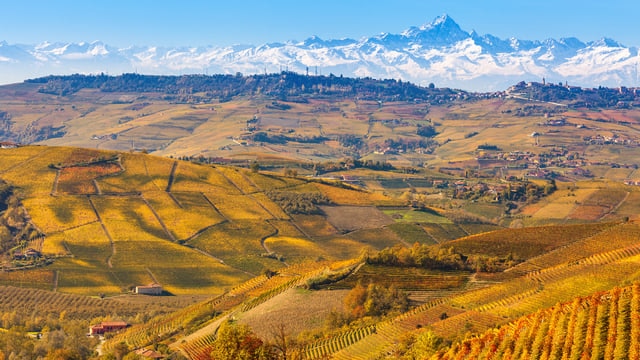 世界遺産「ピエモンテの葡萄畑の景観：ランゲ・ロエロとモンフェッラート」