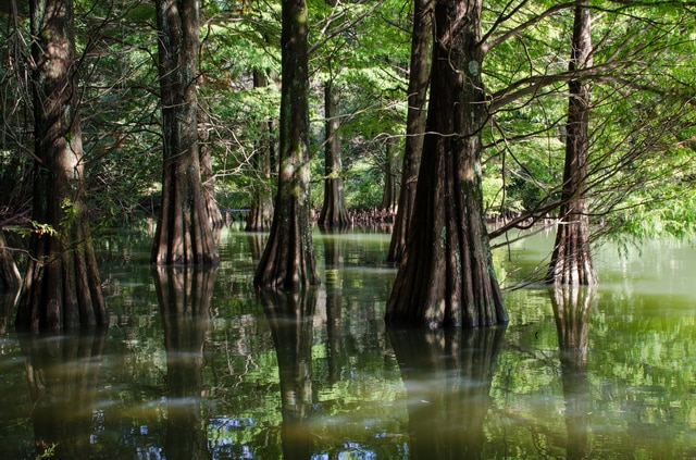 篠栗 JapaneseClass.jp