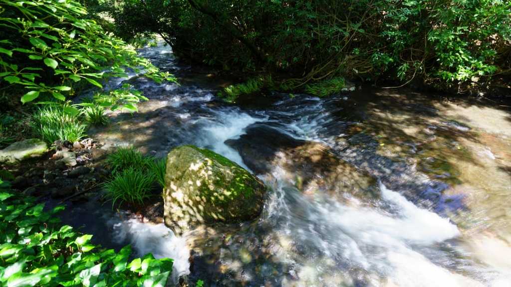 平成の名水百選に選ばれた南阿蘇村湧水群のおすすめ水源7か所をご紹介！