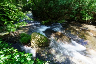 平成の名水百選に選ばれた南阿蘇村湧水群のおすすめ水源7か所をご紹介！