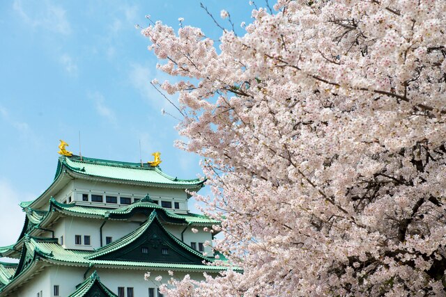 愛知県内のお花見名所！桜を愛でるなら間違いない観光スポット5選