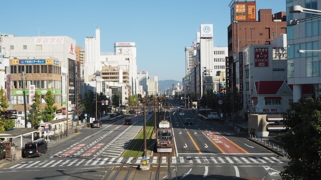 伝統のちくわやうずらに新名物！豊橋市おすすめのお土産４選